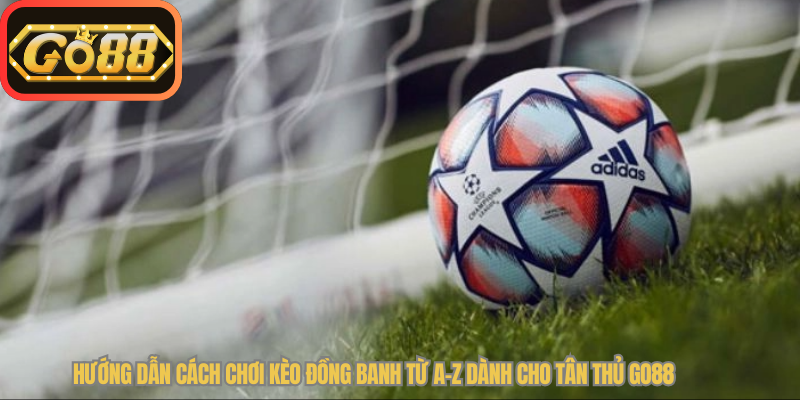 Hướng Dẫn Cách Chơi Kèo Đồng Banh Từ A-Z Dành Cho Tân Thủ Go88