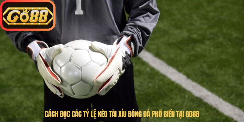 Cách đọc các tỷ lệ kèo Tài Xỉu bóng đá phổ biến tại Go88